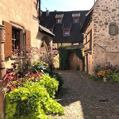 Les Gites Coeur De Vigne Riquewihr Exterior foto